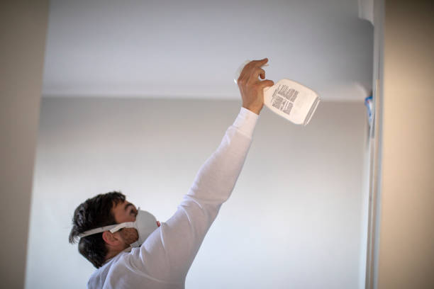 Best Attic Mold Removal  in Dundee, MI